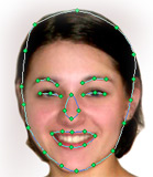Facial Feature Detection Sample 1